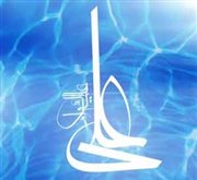 مَنْ هم شيعة علي عليه السلام؟