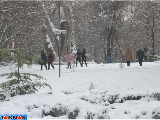 تصاویر تابناک: ادامه برف و سرما در تهران