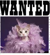 wanted