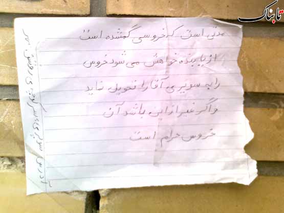 «نگاه شما»: گمشده