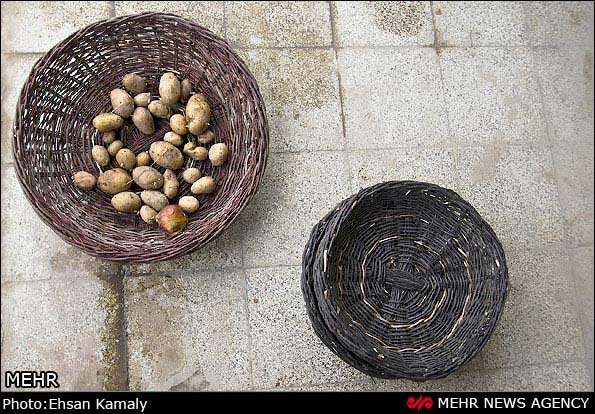 تصاویر: سبد بافی