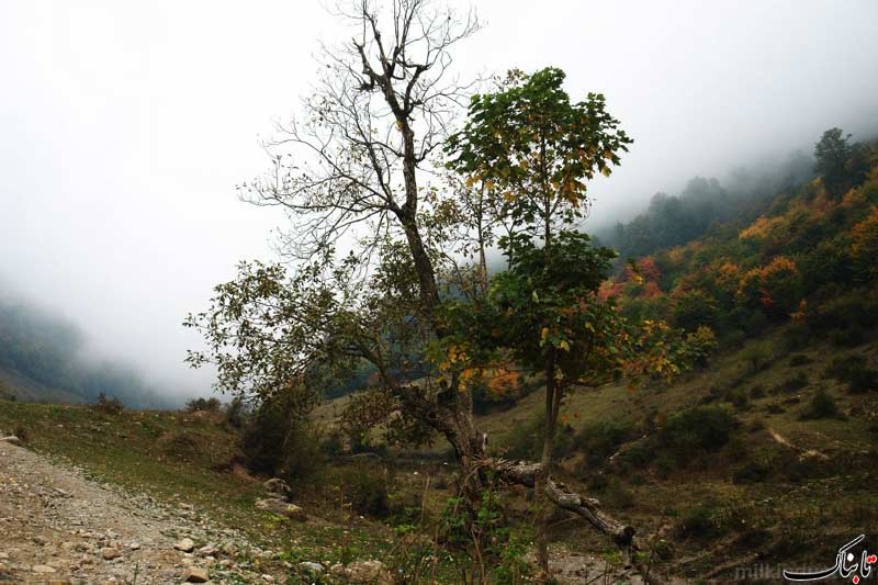 نگاه شما: روستای زیارت