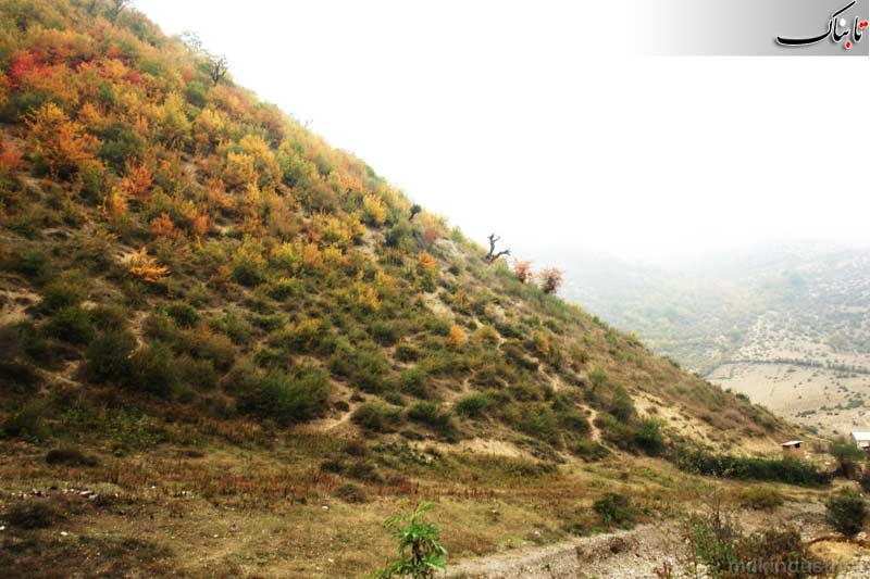 نگاه شما: روستای زیارت