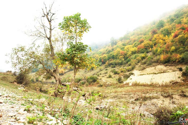 نگاه شما: روستای زیارت