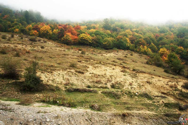 نگاه شما: روستای زیارت