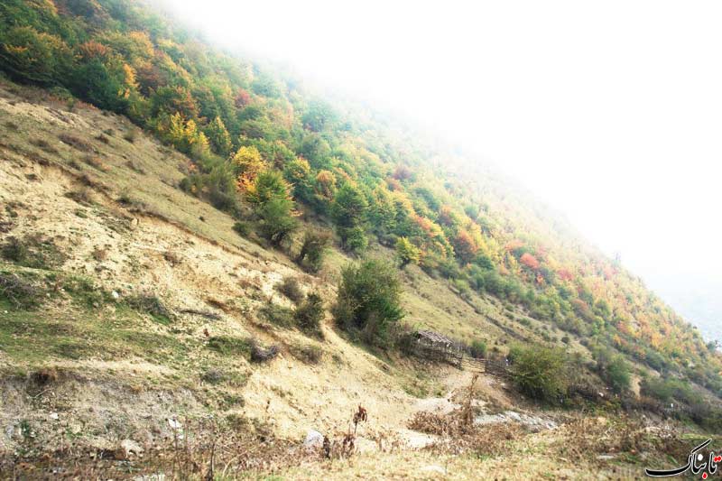 نگاه شما: روستای زیارت