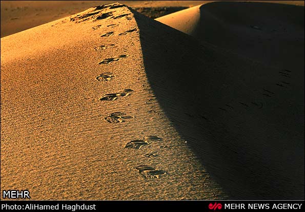 تصاویر: کویر آذربایجان