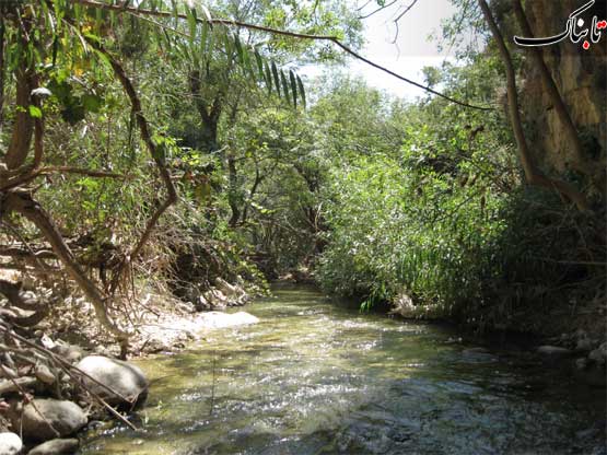 نگاه شما: تنگ گنبیل
