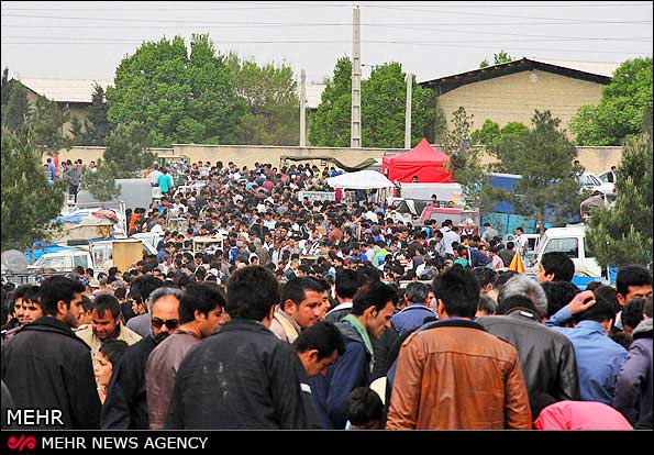 تصاویر: بازار پرندگان