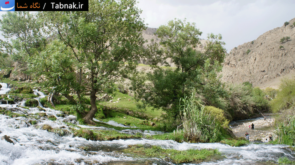 نگاه شما: بهار در لالی