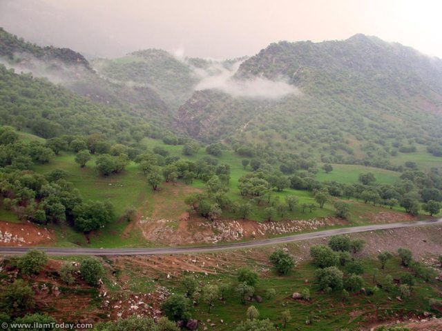 نگاه شما: طبیعت ایلام