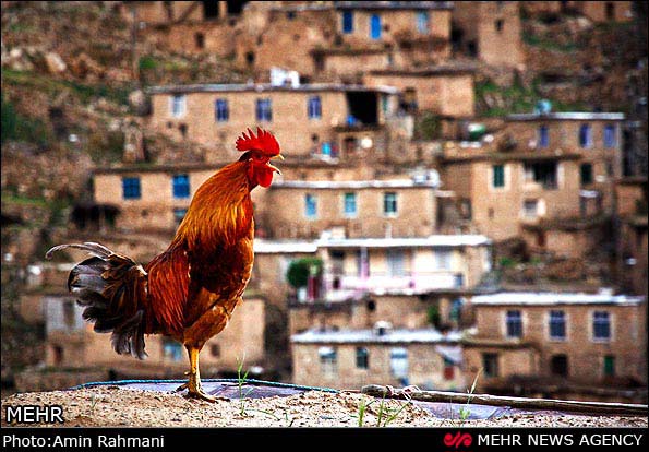 تصاویر: روستای اورامانات