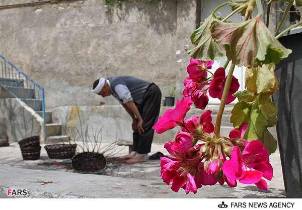 تصاویر: سبد بافی سنتی