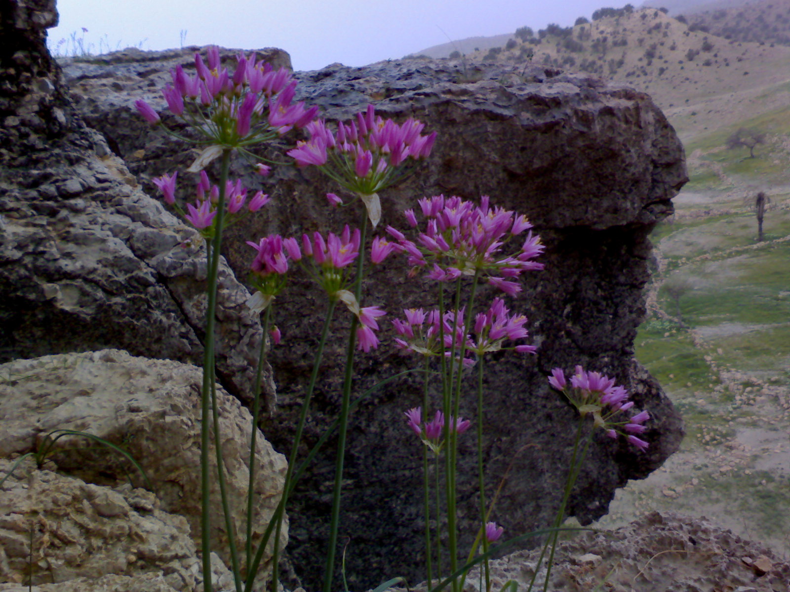 نگاه شما: بهار روستای ناخا