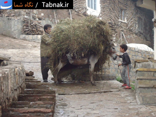 نگاه شما: روستای ناتر
