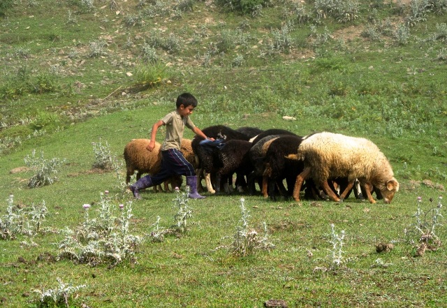 نگاه شما: روستای کِلاپی