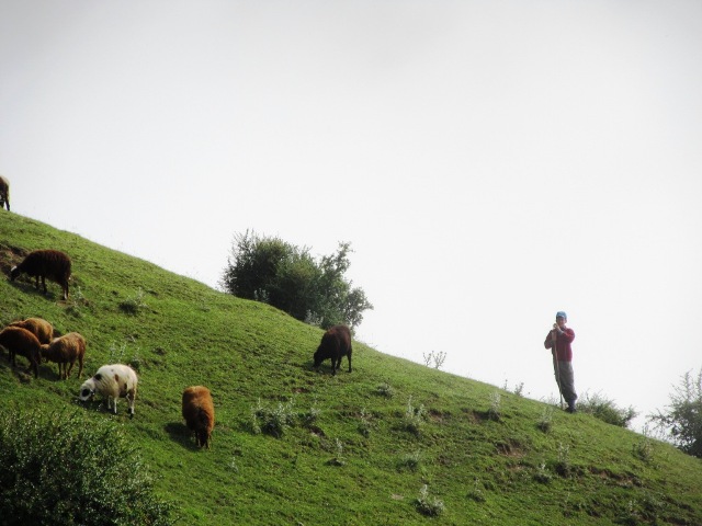 نگاه شما: روستای کِلاپی