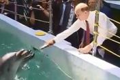 پوتین به دلفین ها غذا می دهد