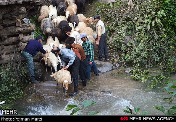 آیین سنتی «تن شور ما»