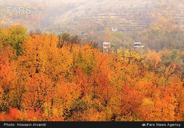 طبیعت پائیز همدان