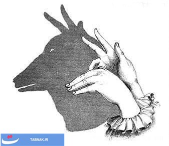 هنر ایجاد سایه با دست