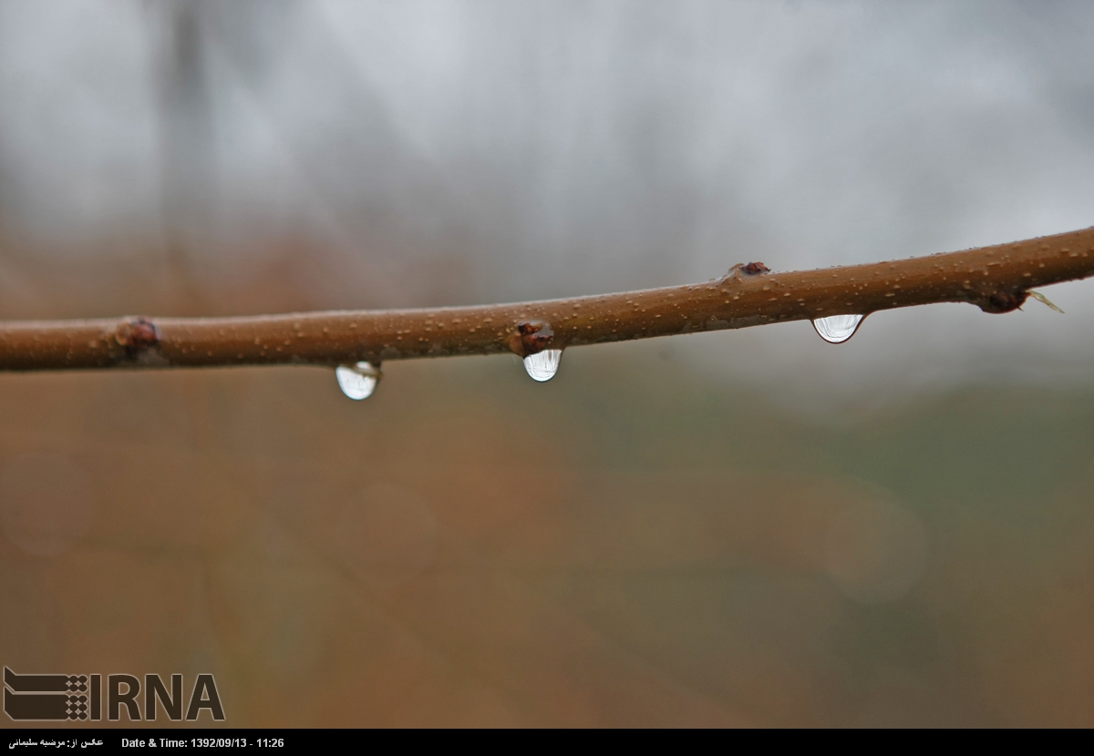 باران پاییزی در تهران