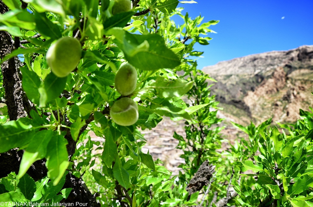 روستای زیبای لایزنگان