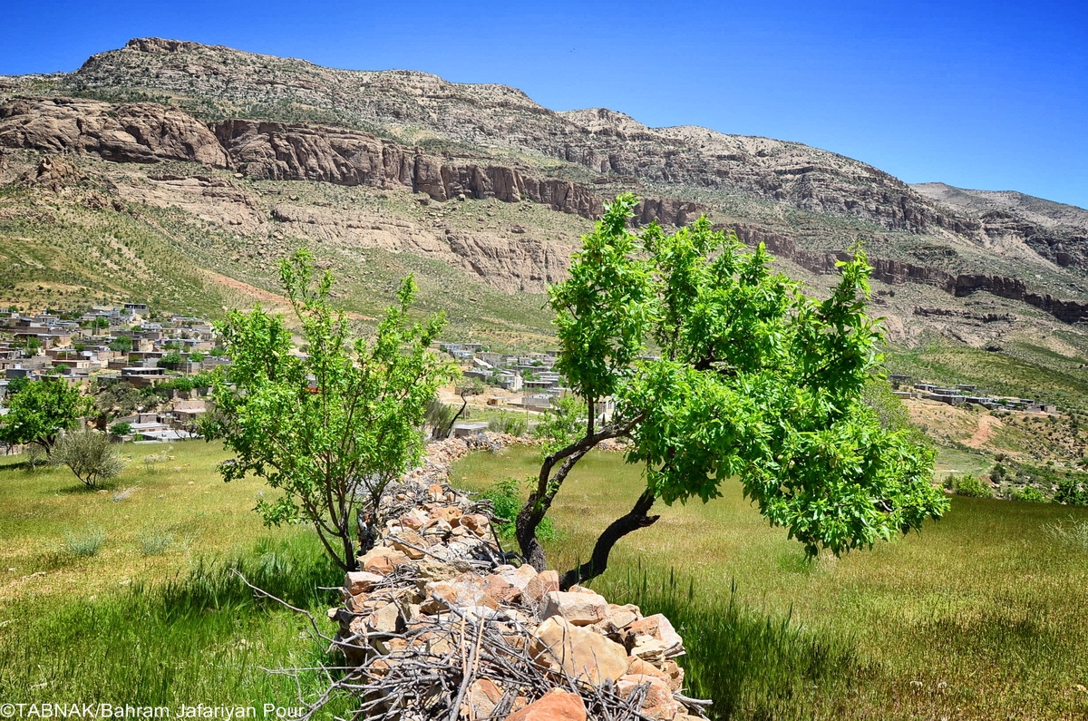 روستای زیبای لایزنگان
