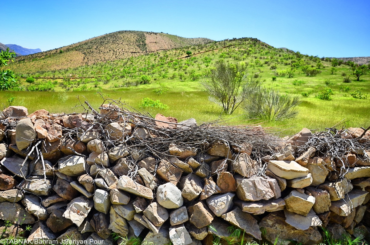 روستای زیبای لایزنگان