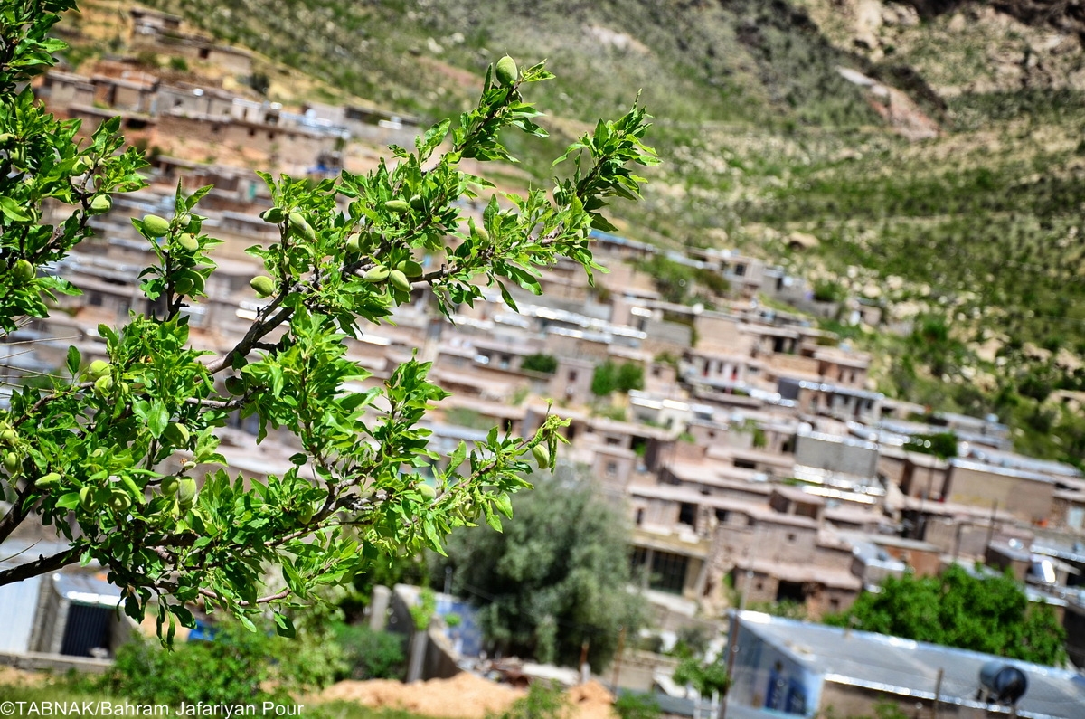 روستای زیبای لایزنگان