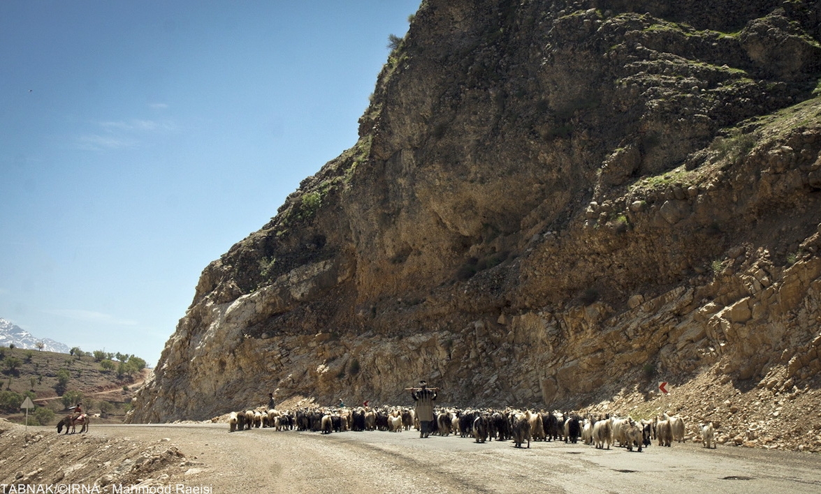 کوچ عشایر بختیاری