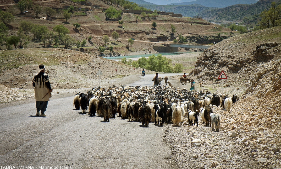 کوچ عشایر بختیاری