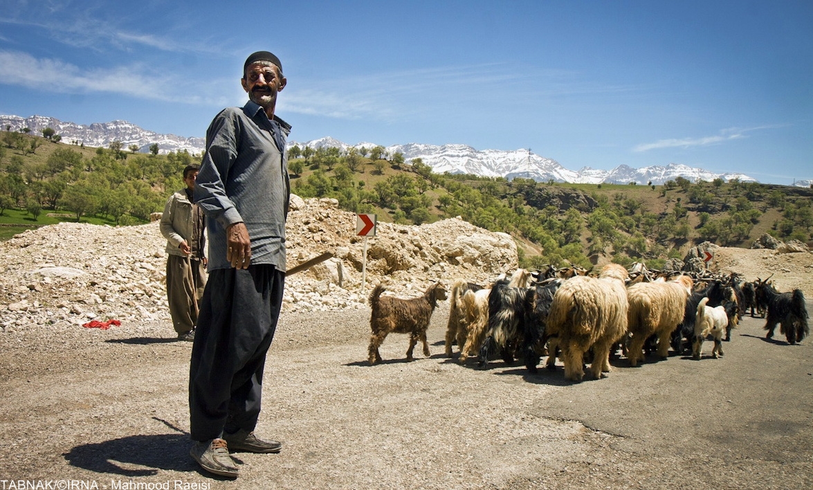 کوچ عشایر بختیاری