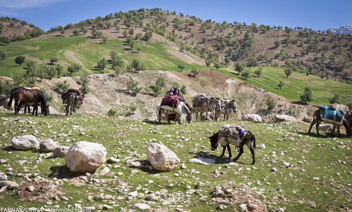 کوچ عشایر بختیاری