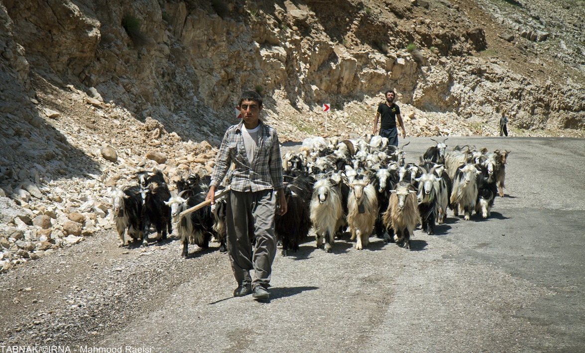 کوچ عشایر بختیاری