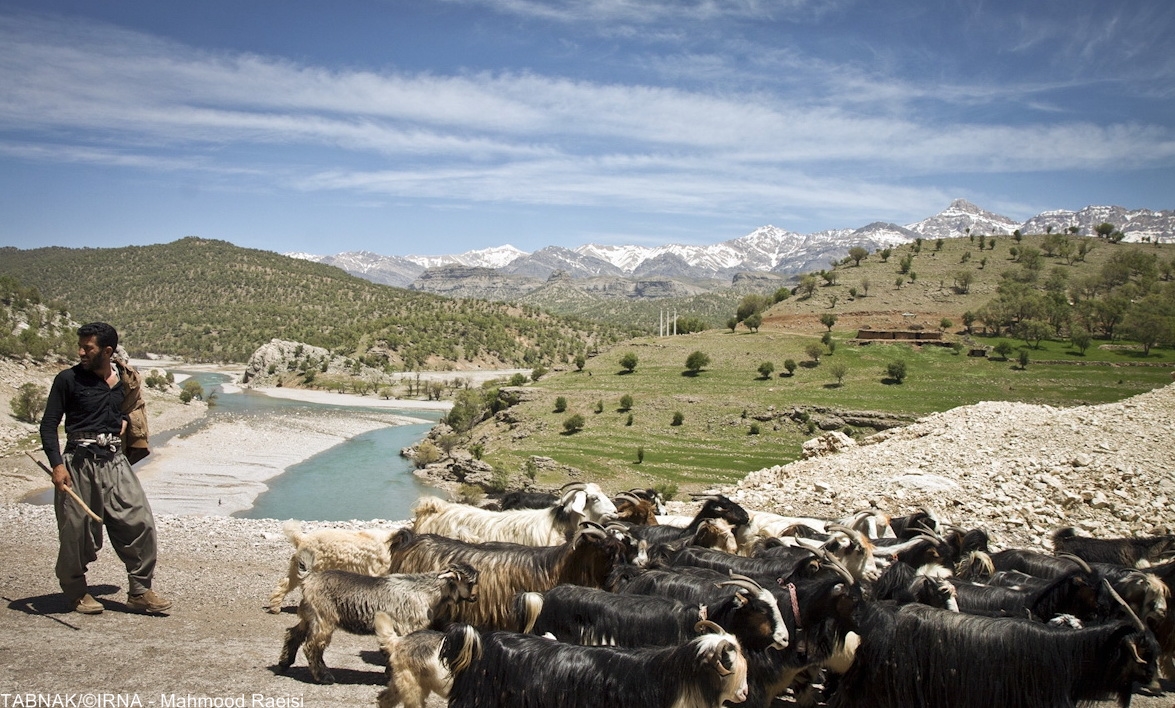 کوچ عشایر بختیاری
