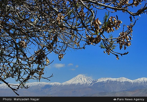 طبیعت بهاری دماوند