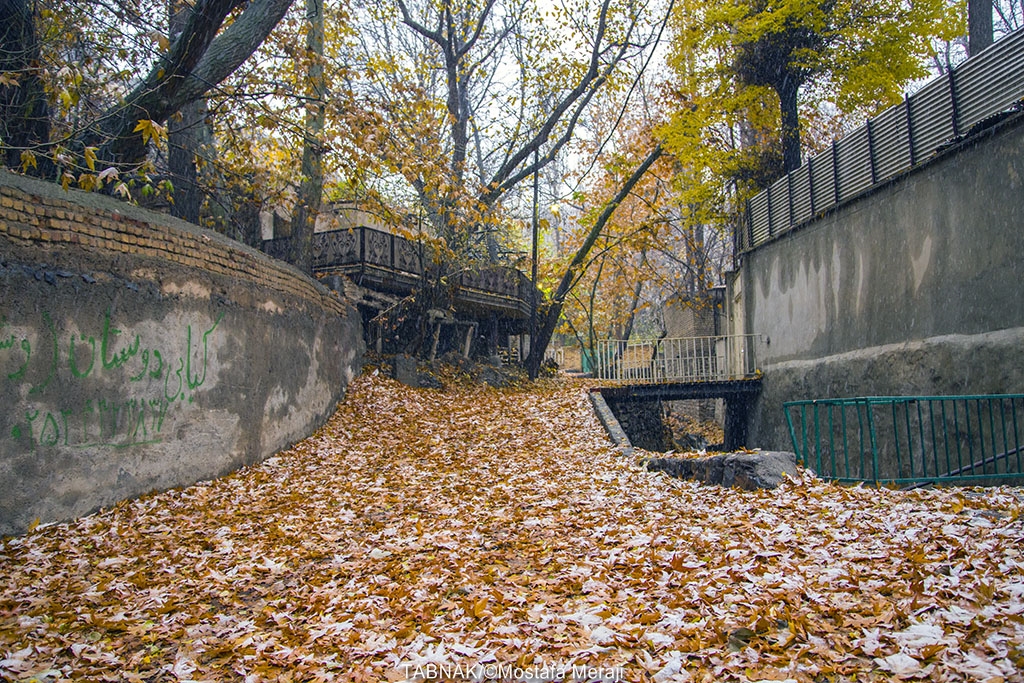 پاییز، فصل رنگ ها