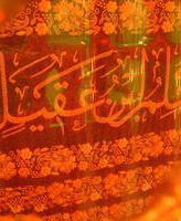هر قطره خونش گوید، کوفه میا حبیبی