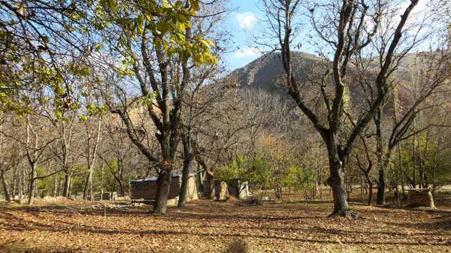 نگاه شما: برگ ریزان بجنورد