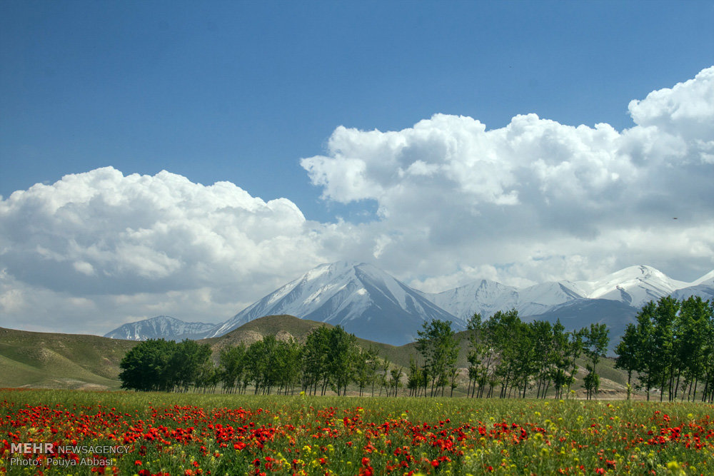 طبیعت بهاری ارس
