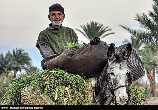 مصرِ ایران