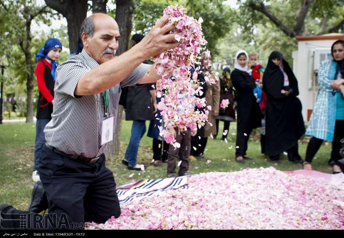جشنواره گلاب و گل