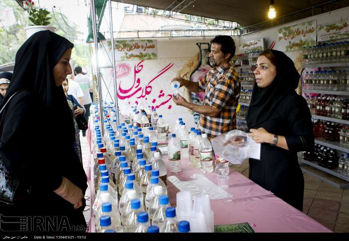جشنواره گلاب و گل