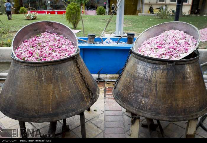 جشنواره گلاب و گل