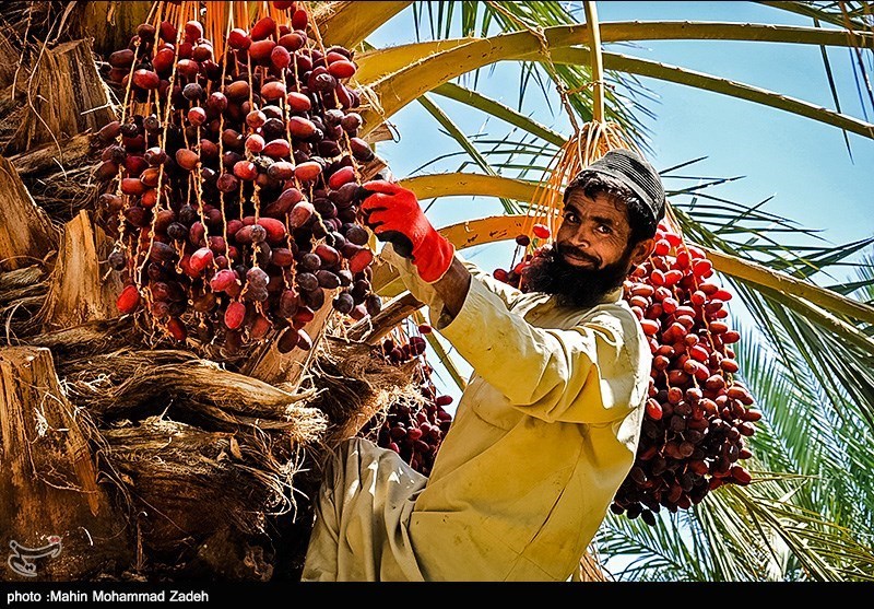 سرزمین من بلوچستان