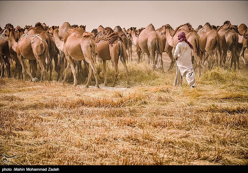 سرزمین من بلوچستان