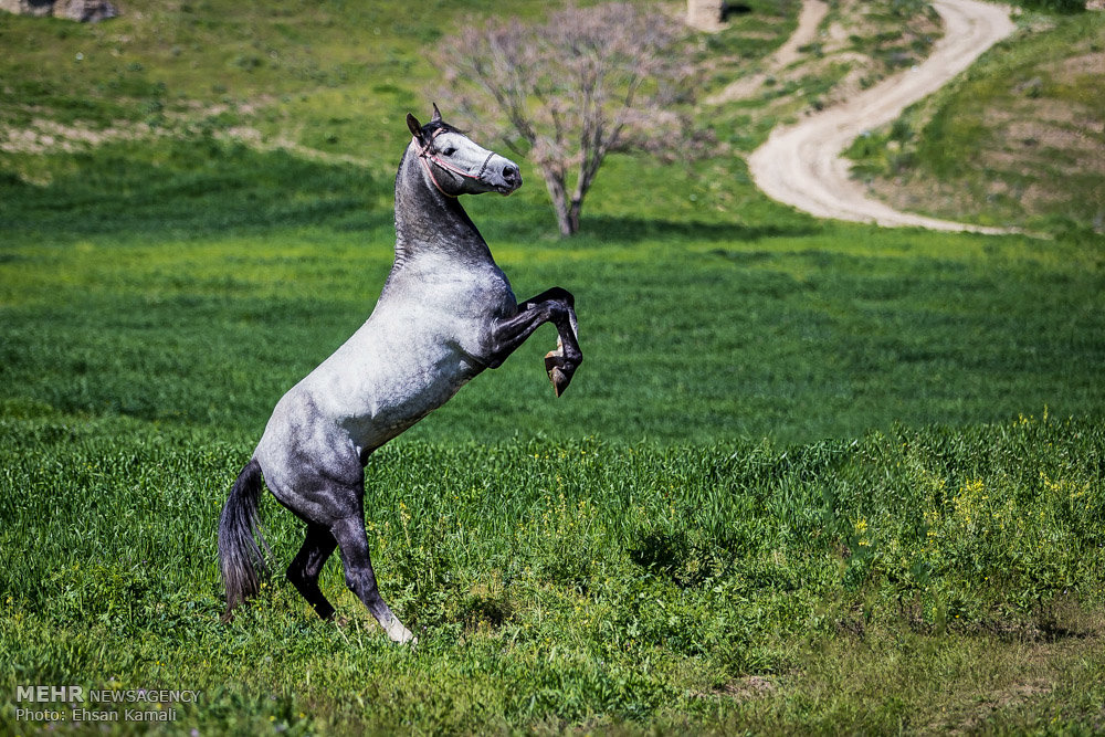 میراث ملی در خطر نابودی