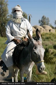 سیستان پس از طوفان