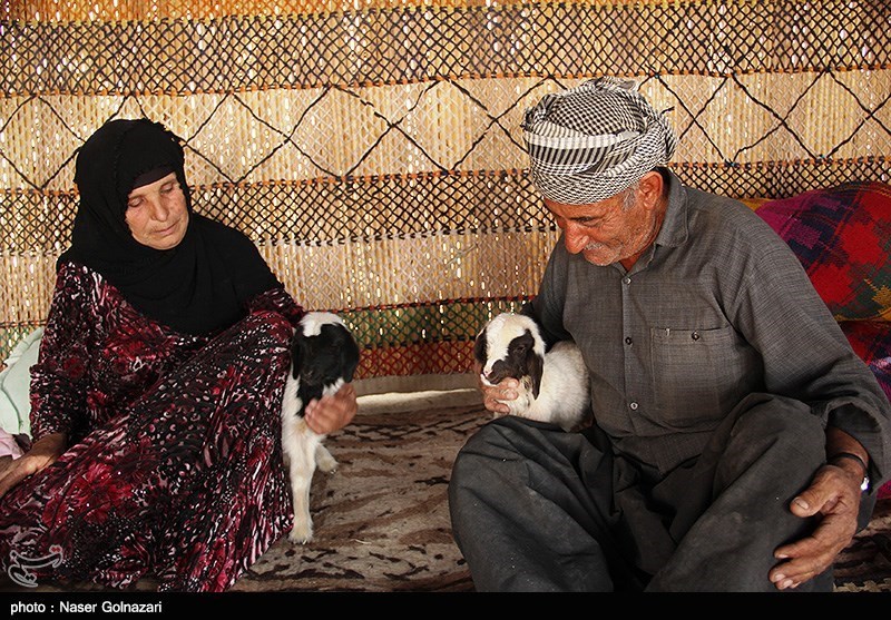 زندگی عشایری در ایلام